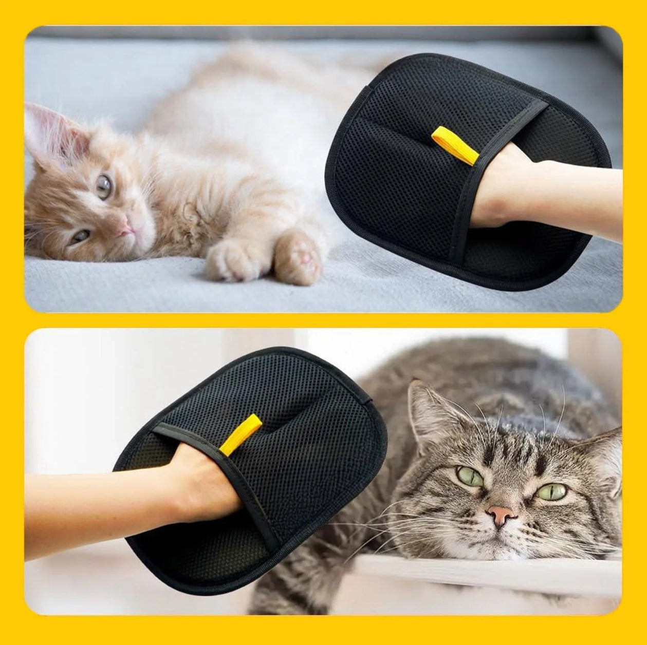 Pet Grooming Mitt | Hair Removal