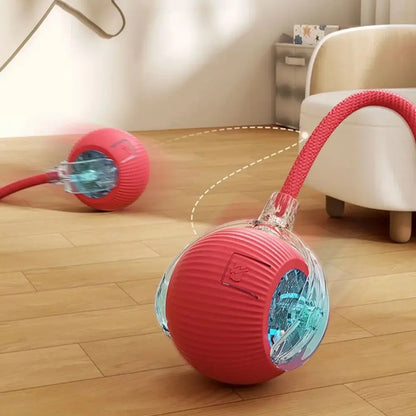 Interactive Pet Toy Ball | Motion
