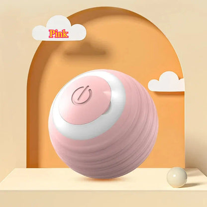 Interactive Pet Toy Ball | Motion