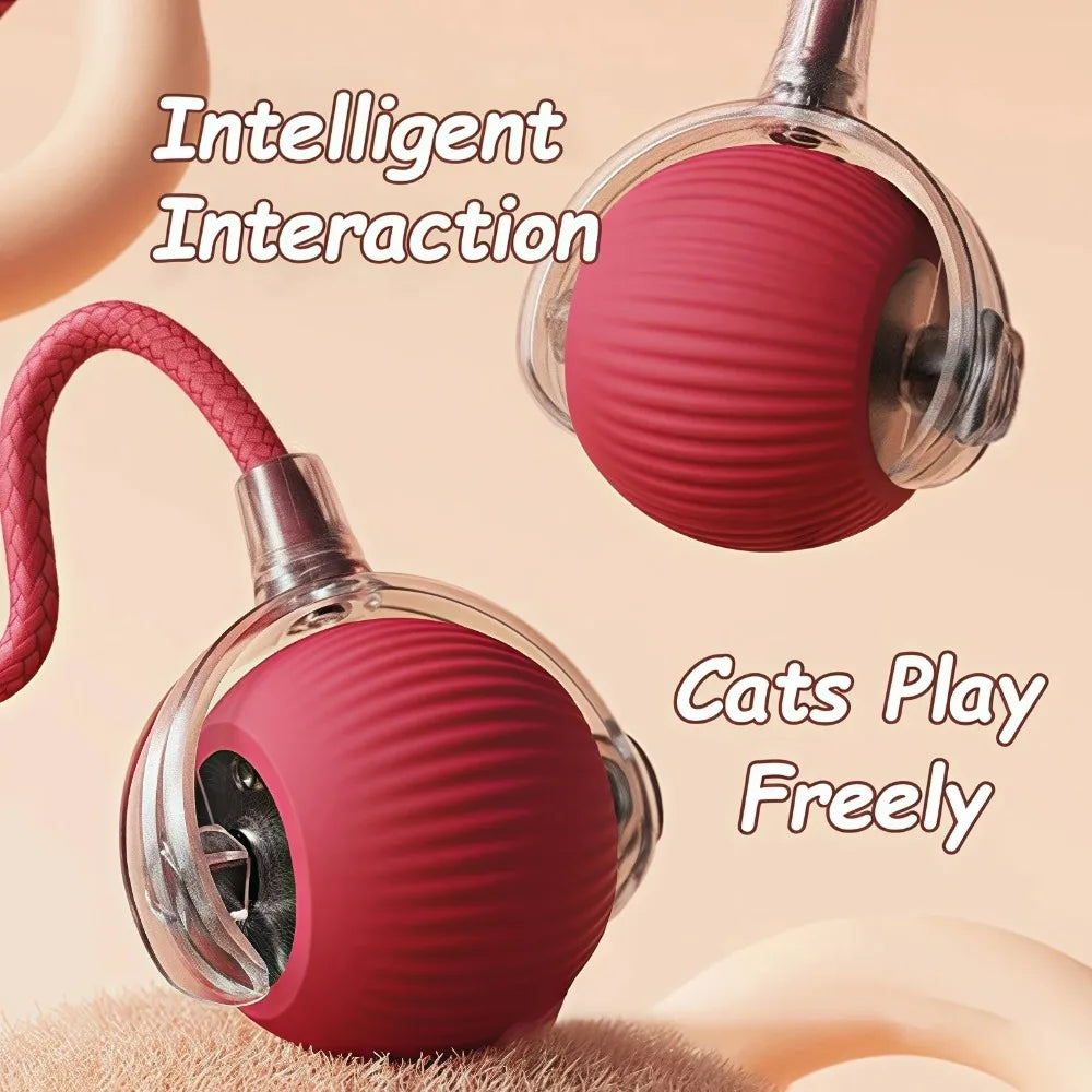 Interactive Pet Toy Ball | Motion