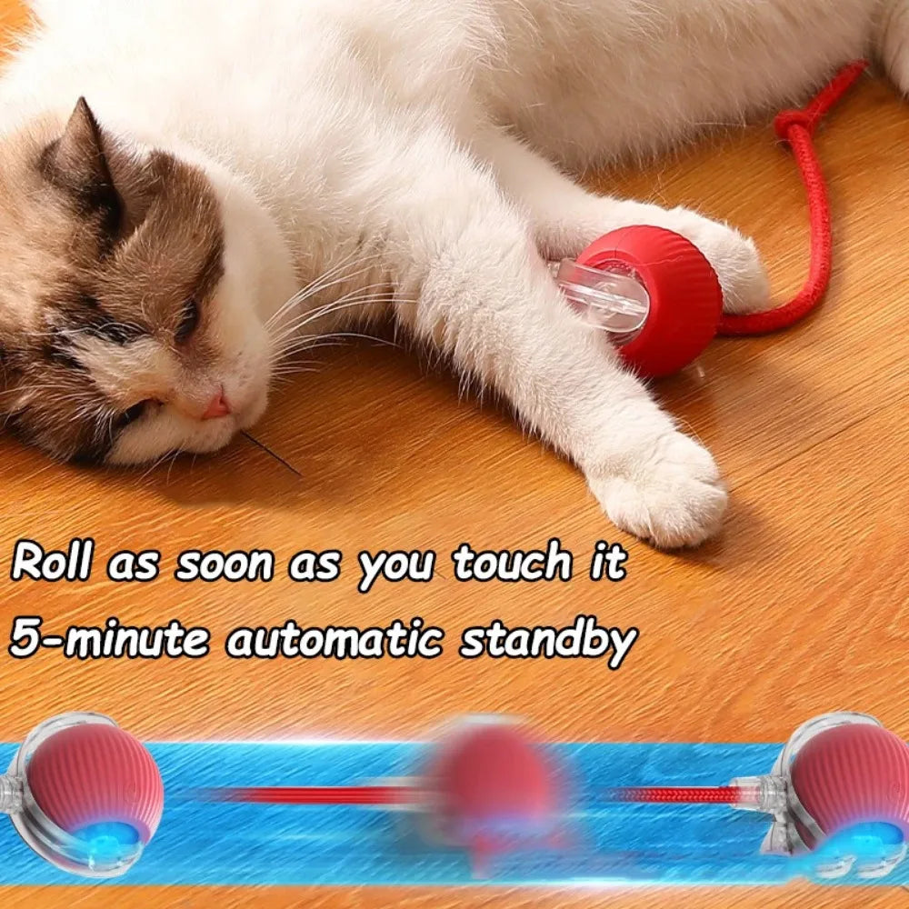 Interactive Pet Toy Ball | Motion