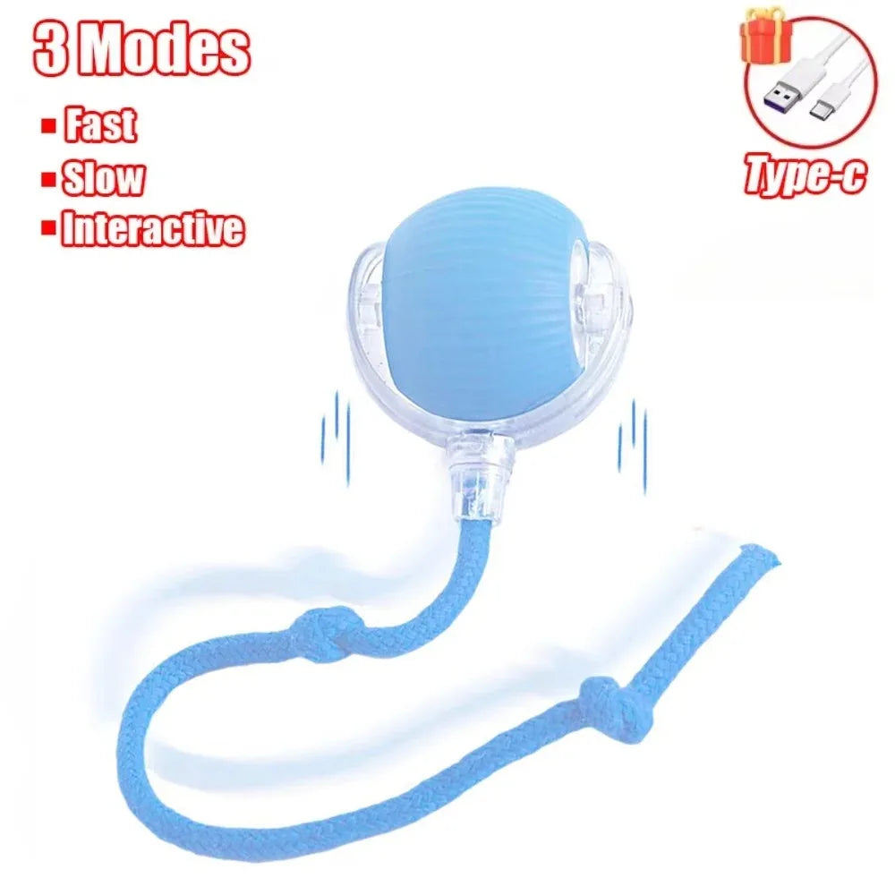 Interactive Pet Toy Ball | Motion