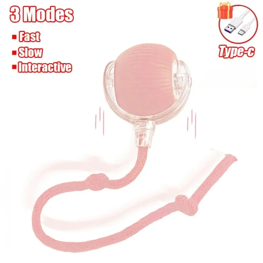 Interactive Pet Toy Ball | Motion