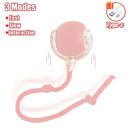 Interactive Pet Toy Ball | Motion