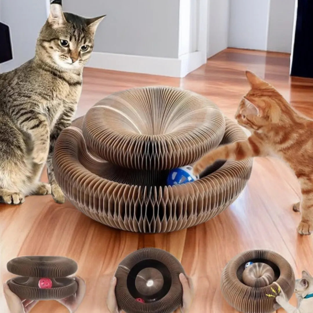 Cat Interactive Toy | Foldable Tunnel