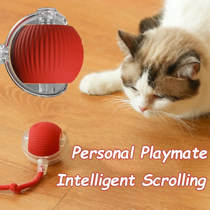 Interactive Pet Toy Ball | Motion