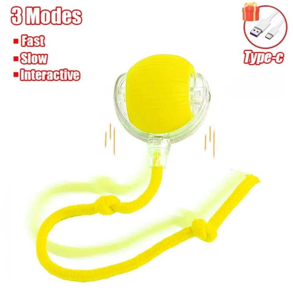 Interactive Pet Toy Ball | Motion